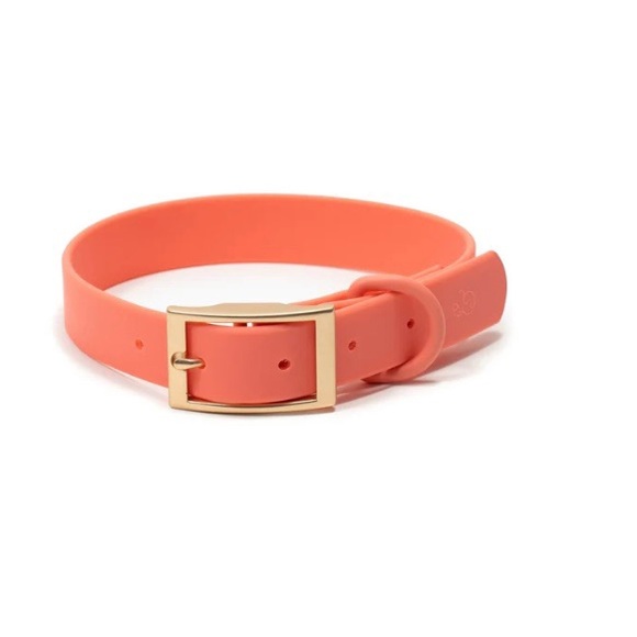 lucy & co Other - 💛 Large Lucy & Co. Everyday PVC Collar in Coral
